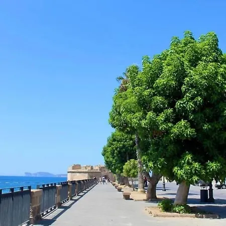 Miro * Alghero